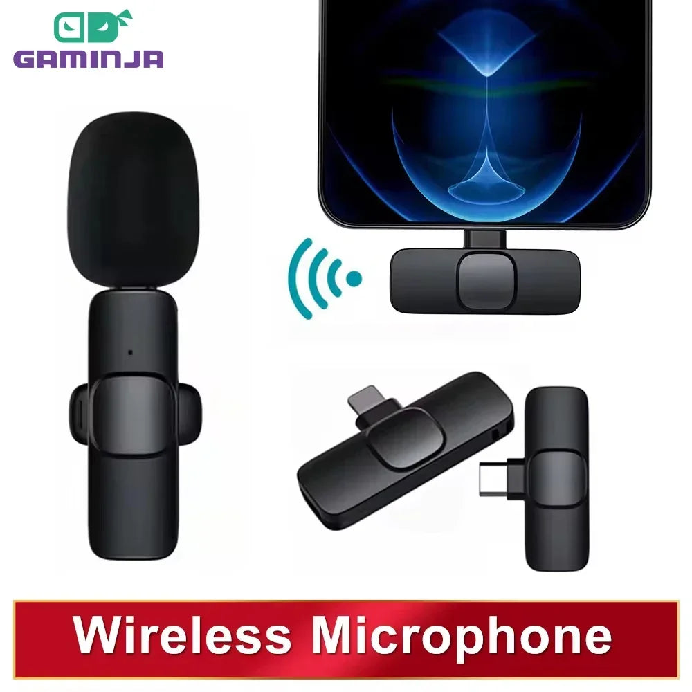 Microphone Portable