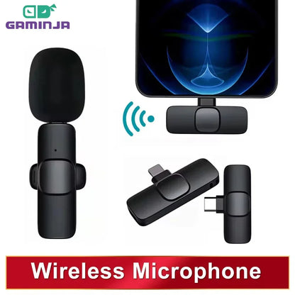 Microphone Portable