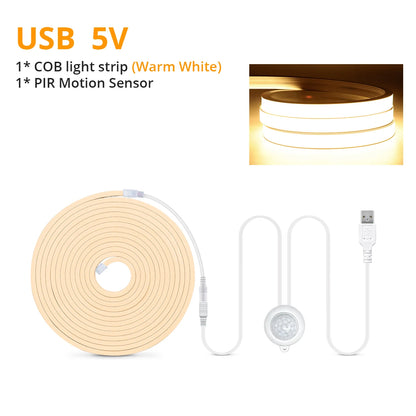 Motion Sensor LED