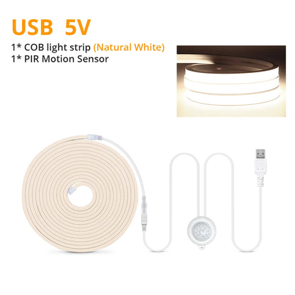 Motion Sensor LED