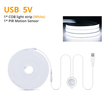 Motion Sensor LED